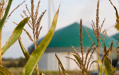 CEBCON Technologies entwickelt erfolgreich erste innovative Biomasseaufbereitungsanlage