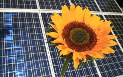 PERC Solarzellen ohne Wirkungsgradverlust