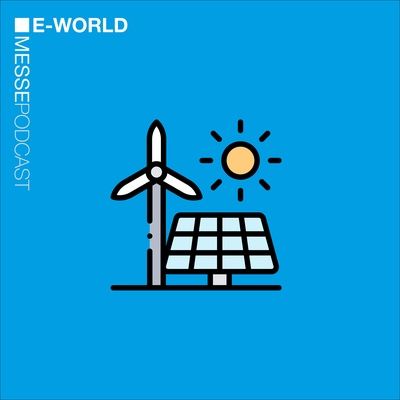 Energiewende im Fokus: Herausforderungen und Lösungen im Netzwerk Erneuerbare Energien Hamburg