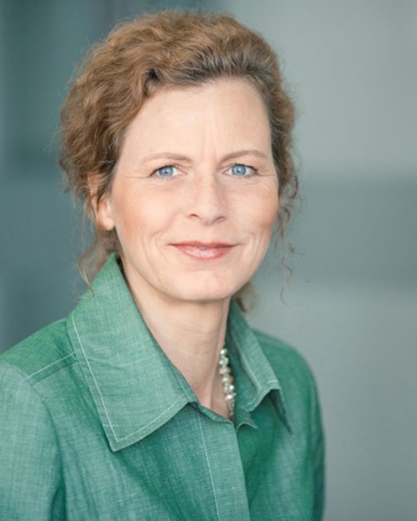 "Hydrogen production in offshore parks will triumph in the end"
