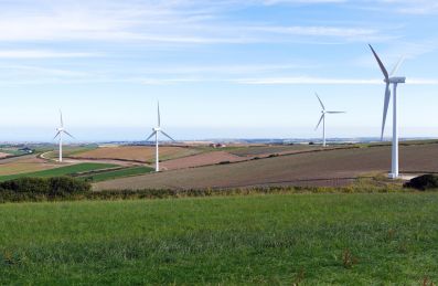 Spüren, wie der Wind weht