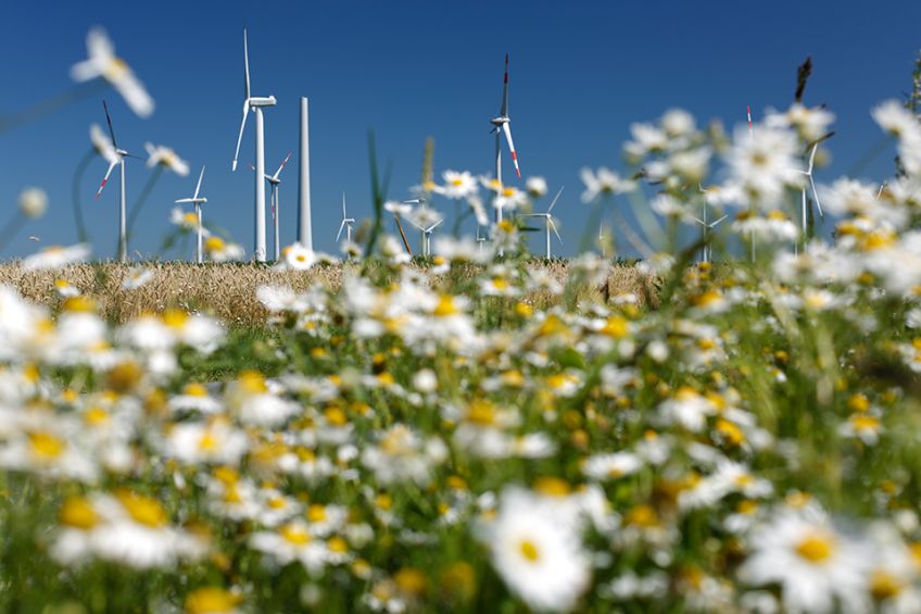 Sichere und effiziente Energiewende braucht Verlässlichkeit: Industrie mahnt klaren Rahmen an