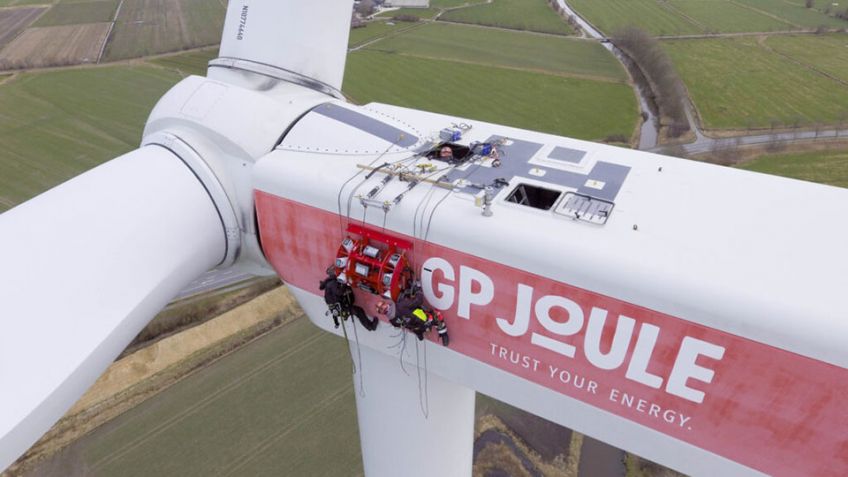 Studie zeigt: Zugvögel meiden Windenergieanlagen fast vollständig