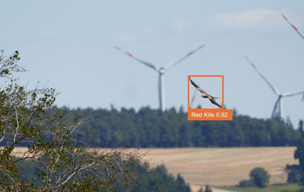 Artenschutz und Erneuerbare in Einklang bringen
