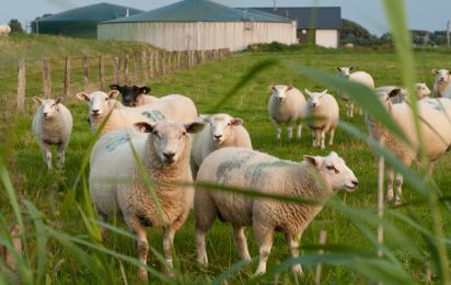 Energielandschaften Norddeutschland