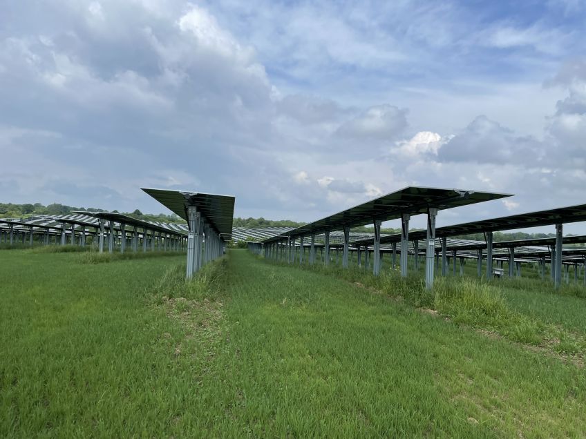 Exkursion zu Agri-PV und Biodiversitäts-PV-Anlage in Schleswig-Holstein