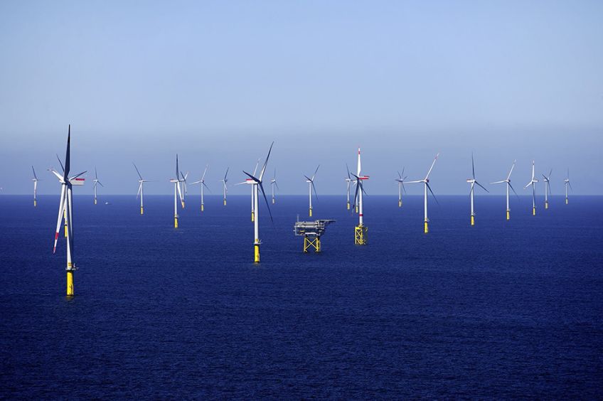 „Offshore-Industrie kann liefern - WindSeeG muss nachgeschärft werden“