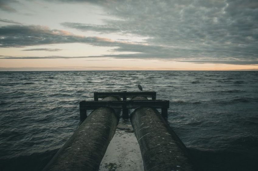 CO2 im großen Stil neutralisieren