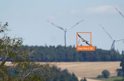 Artenschutz und Erneuerbare in Einklang bringen